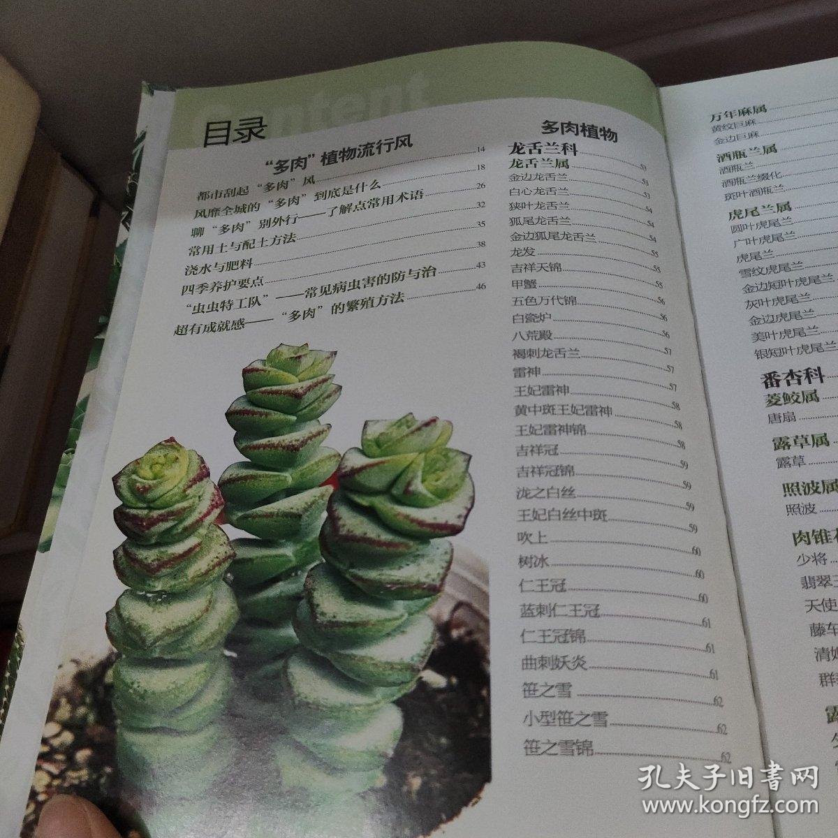 多肉植物图鉴