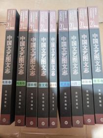 20世纪中国文艺图文志  共九本合售，缺一本小说卷下