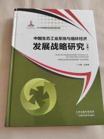 中国生态工业系统与偱环经济发展战略研究（中卷）