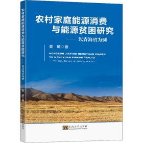 【正版新书】 农村家庭能源消费与能源贫困研究——以青海省为例 姜璐 东南大学出版社