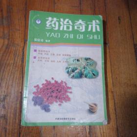 中医灵验疗法丛书：药治奇术
