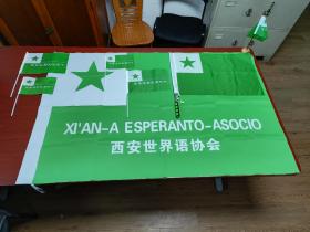 世界语4号活动旗