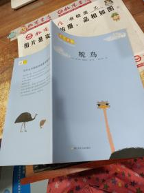 大艺术家写给小朋友的动物书，鸵鸟