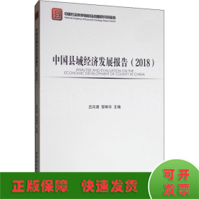 中国县域经济发展报告(2018)