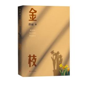 全新正版 邵丽新书：金枝 邵丽 9787020167180 人民文学出版社