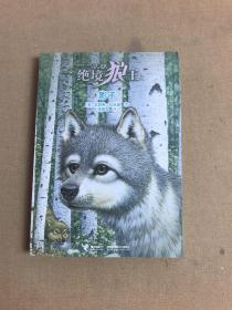 影子：绝境狼王系列