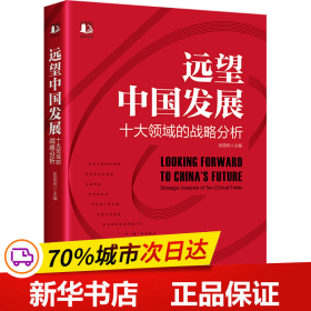 保正版！远望中国发展 十大领域的战略分析9787301333662北京大学出版社张国有