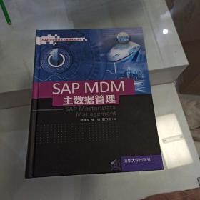 SAP MDM 主数据管理