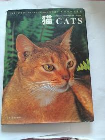 动物世界写真--猫 CATS
