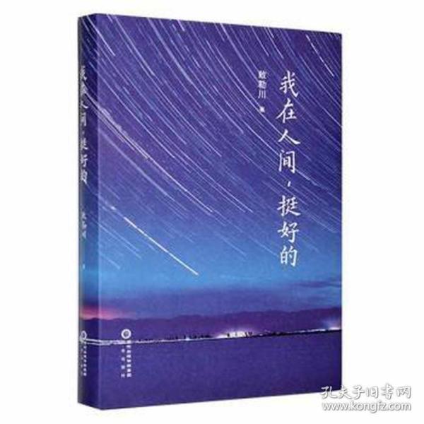 我在人间，挺好的 诗歌 敕勒川