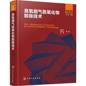 臭氧烟气氮氧化物脱除技术王智化 等2021-12-01