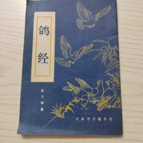 鸽经
