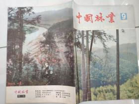 中国林业1980 9