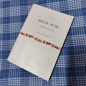 屋顶上的一架飞机