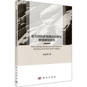 岩石损伤多场耦合机理与数值模型研究姜谙男2019-02-01