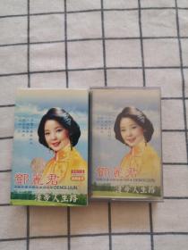 磁带：邓丽君—漫步人生路