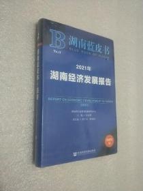 2021年湖南经济发展报告(2021版)/湖南蓝皮书  未开封