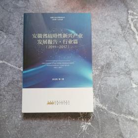 安徽省战略性新兴产业发展报告  行业篇