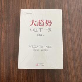 大趋势 中国下一步