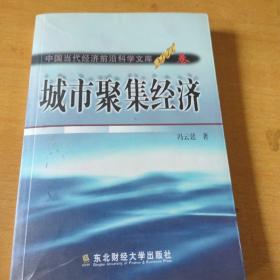 城市聚焦经济:一般理论及其对中国城市化问题的应用分析