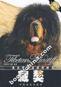 【正版新书】高回报经济名犬养殖-藏獒(四色铜版)