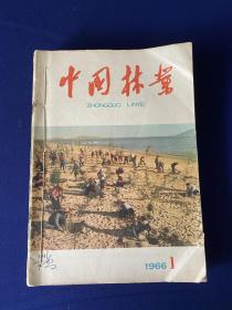 中国林业（1966年第1、2、3、4、5、6、7、8，9合刊+森林调查规划增刊（三：四））9期合售