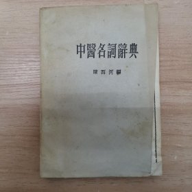 中医名词辞典