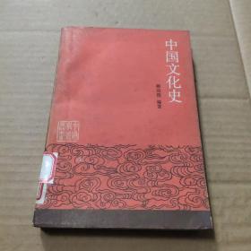 中国文化史  下册
