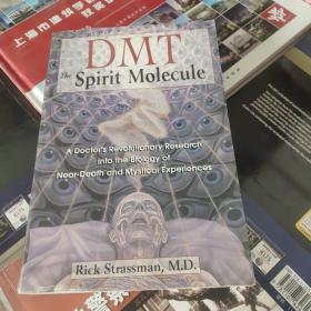 DMT：The Spirit Molecule