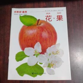 小聪仔·自然——花 果