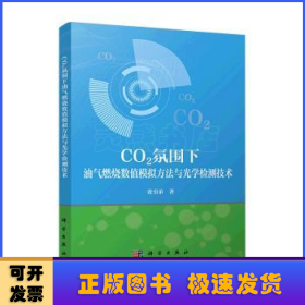 CO2氛围下油气燃烧数值模拟方法与光学检测技术