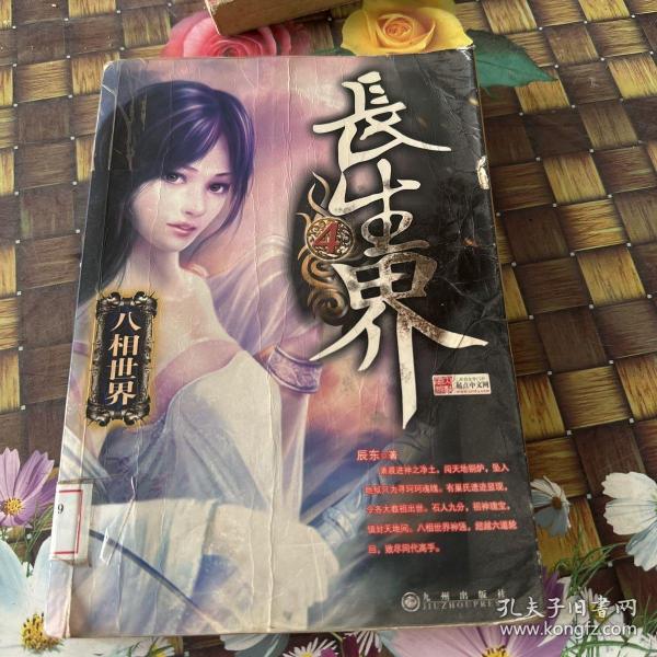 长生界4