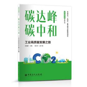 现货正版 碳达峰和碳中和 工业高质量发展之路 凌逸群 中国石化出版社 9787511470607
