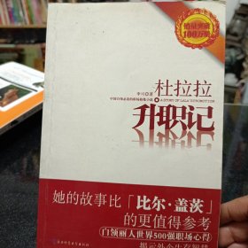 杜拉拉升职记