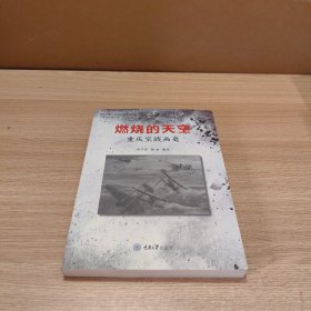 燃烧的天空:重庆空战画史