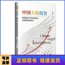 中国天使投资:创新驱动下的市场机制与政策体系研究