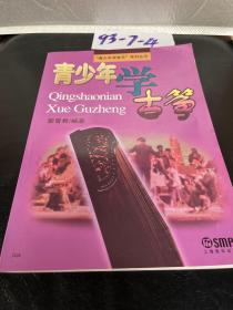“青少年学音乐”系列丛书：青少年学古筝