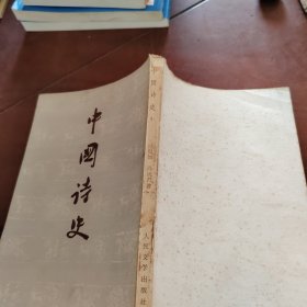 中国诗史  中