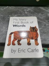 My Very First Book of Words   Board book    我的第一本单词书
