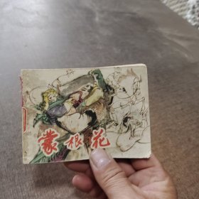 连环画蒙根花