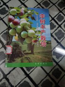 李树丰产栽培