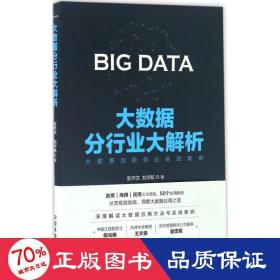 大数据分行业大解析 经济理论、法规 彭作文,刘宇航