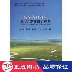 內蒙古自治區錳礦資源潛力評價 冶金、地質 康小龍,羅忠澤,魏雅玲 等 新華正版