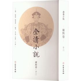 全清小说·康熙卷（十三） 中国古典小说、诗词 欧阳健 新华正版