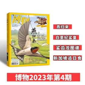 【赠海报】博物杂志2023年4月总第232期 燕子专题  含白垩纪 鲨齿龙图谱/ 3月河豚/2月糖/1月兔子中国国家地理出品青少年自然科普杂志