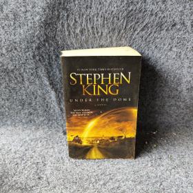 Under the Dome：A Novel