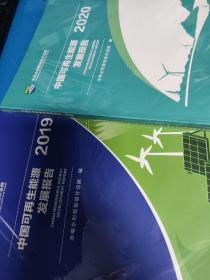 中国可再生能源发展报告2020 2019合售