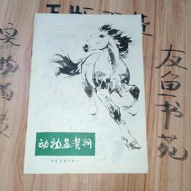 动物画资料