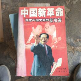 中国新革命:决定中国未来的新决策
