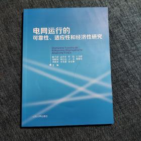 电网运行的可靠性 适应性和经济性研究